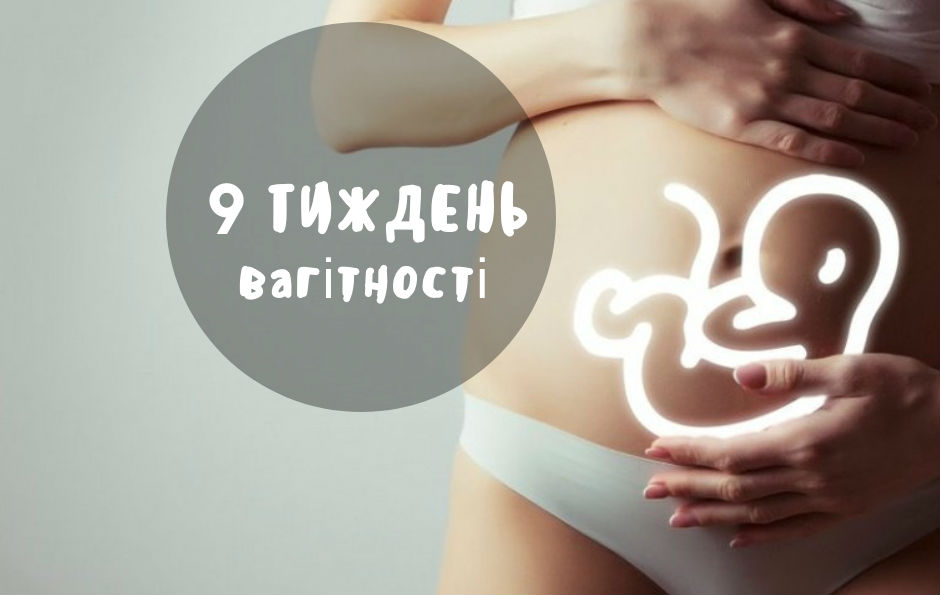 9 тиждень вагітності - календар вагітності по тижням