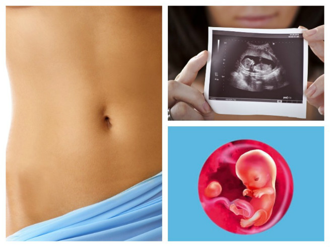 10 тиждень вагітності – як виглядає ембріон