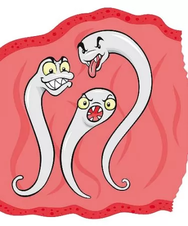 Глисти у дитини - як перевірити самостійно чи є у дитини глисти